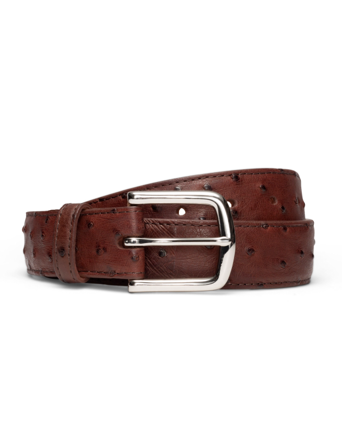 Front view of Men's Ostrich Belt II - Mahogany on plain background