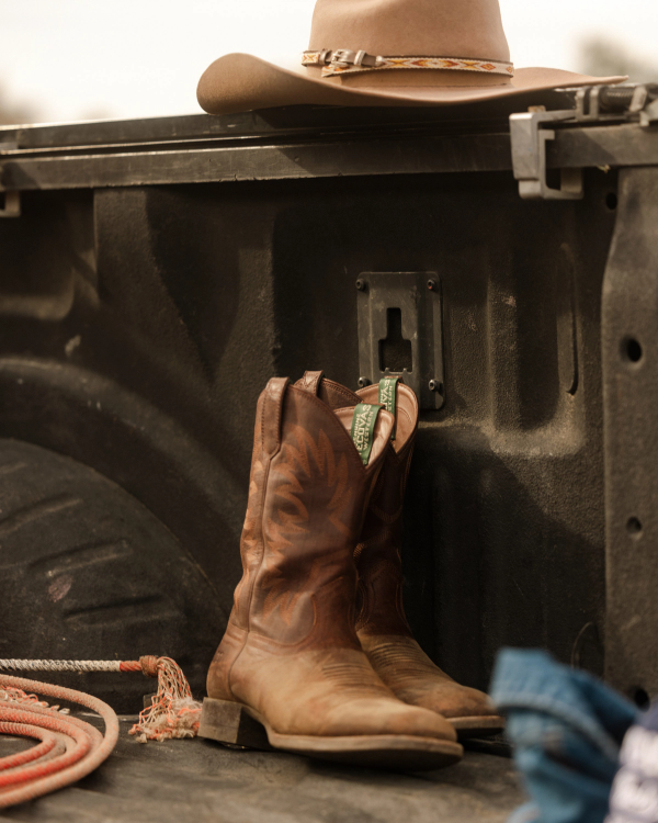 View of The Dusty - Cigar