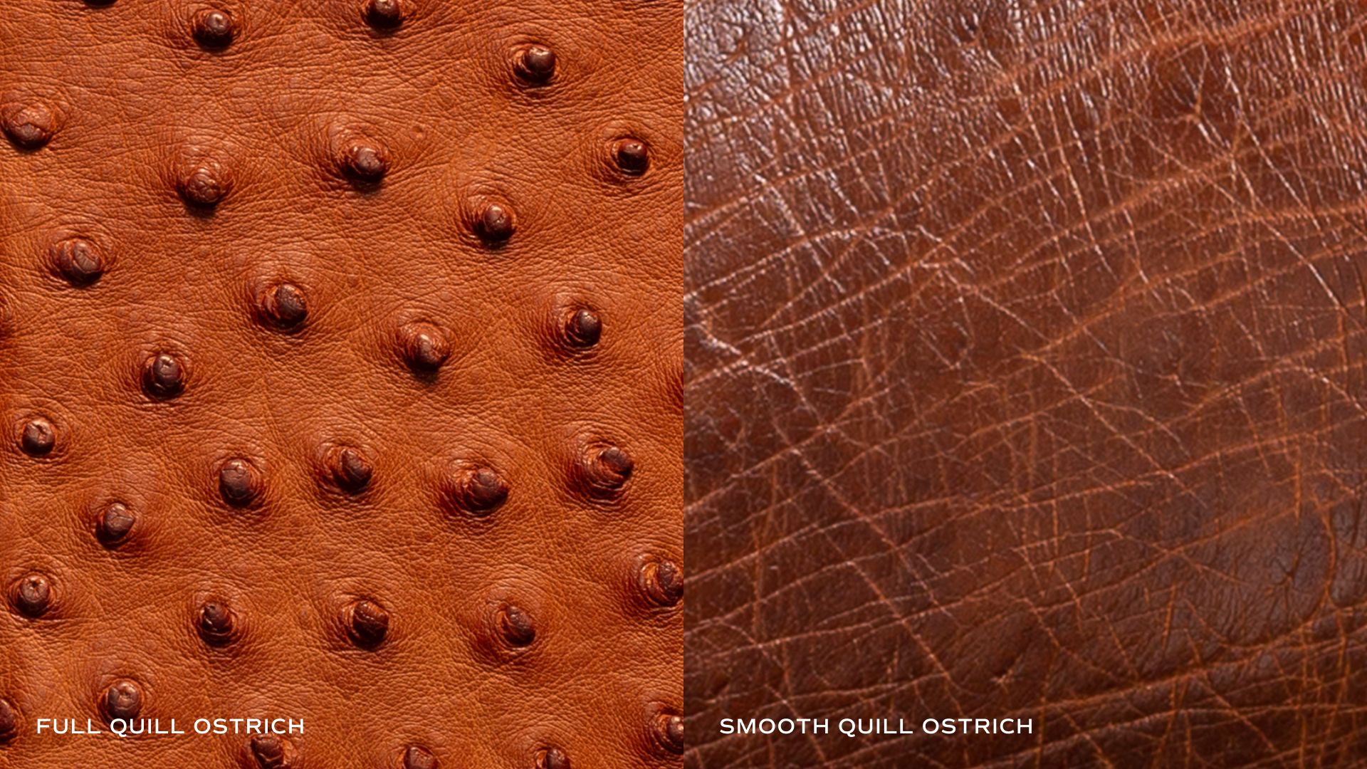 Closeup image of Full Quill and Smooth Quill Ostrich leather.