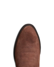 Toe view of The Johnny - Earth on plain background