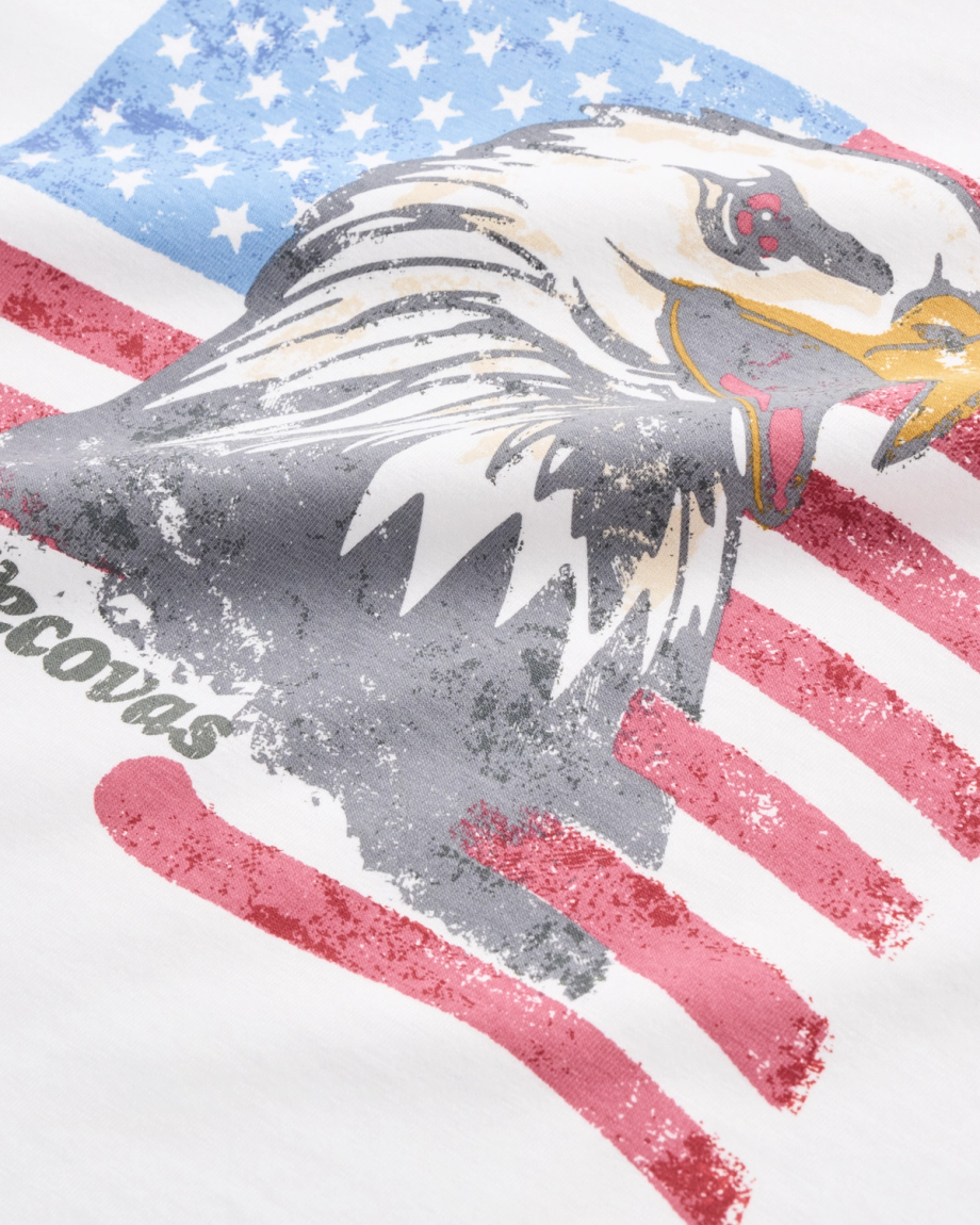 Closeup detail view of Men's Eagle T-Shirt - Bone/Multi
