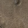 The product color Dark Forest