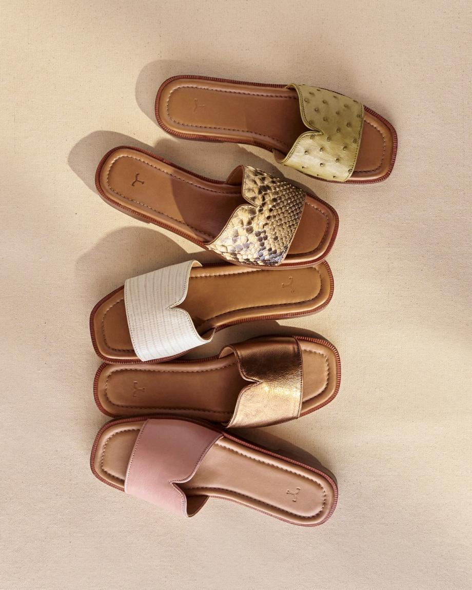 View of The Carmen - Misty Rose