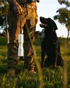 A person holding a training dummy stands next to a black dog sitting on grass. A rifle leans against their leg.