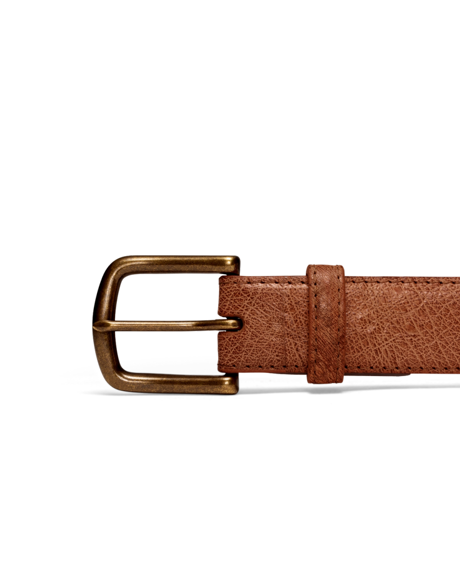 Front view of Men's Smooth Ostrich Belt II - Russet on plain background