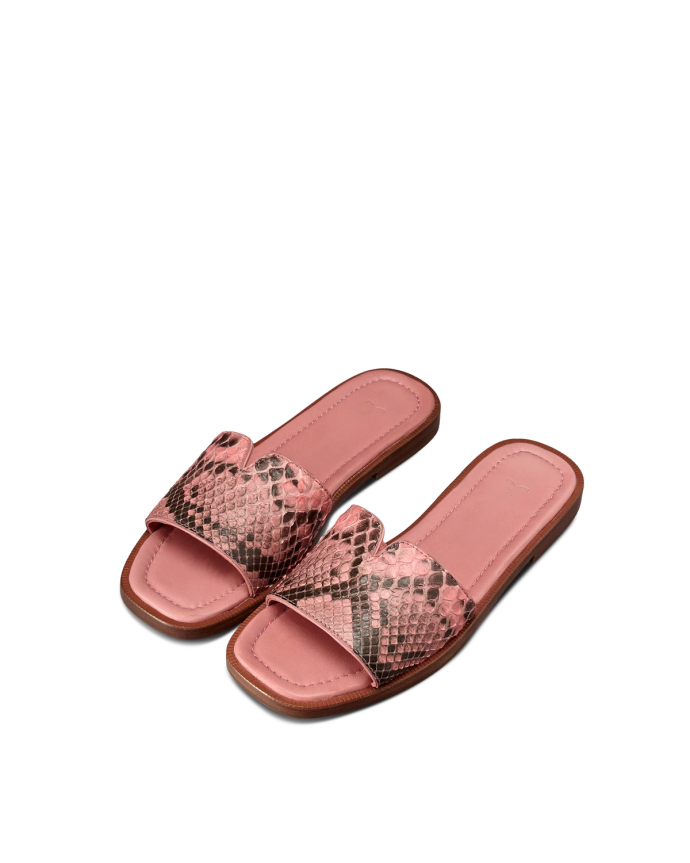 Pair view of The Carmen - Pink Frost on plain background