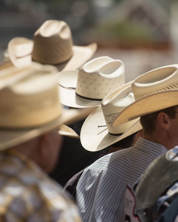 A group of people wearing various styles of tan and cream cowboy hats, viewed from behind at an outdoor event.