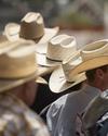 A group of people wearing various styles of tan and cream cowboy hats, viewed from behind at an outdoor event.