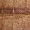 The product color Toffee