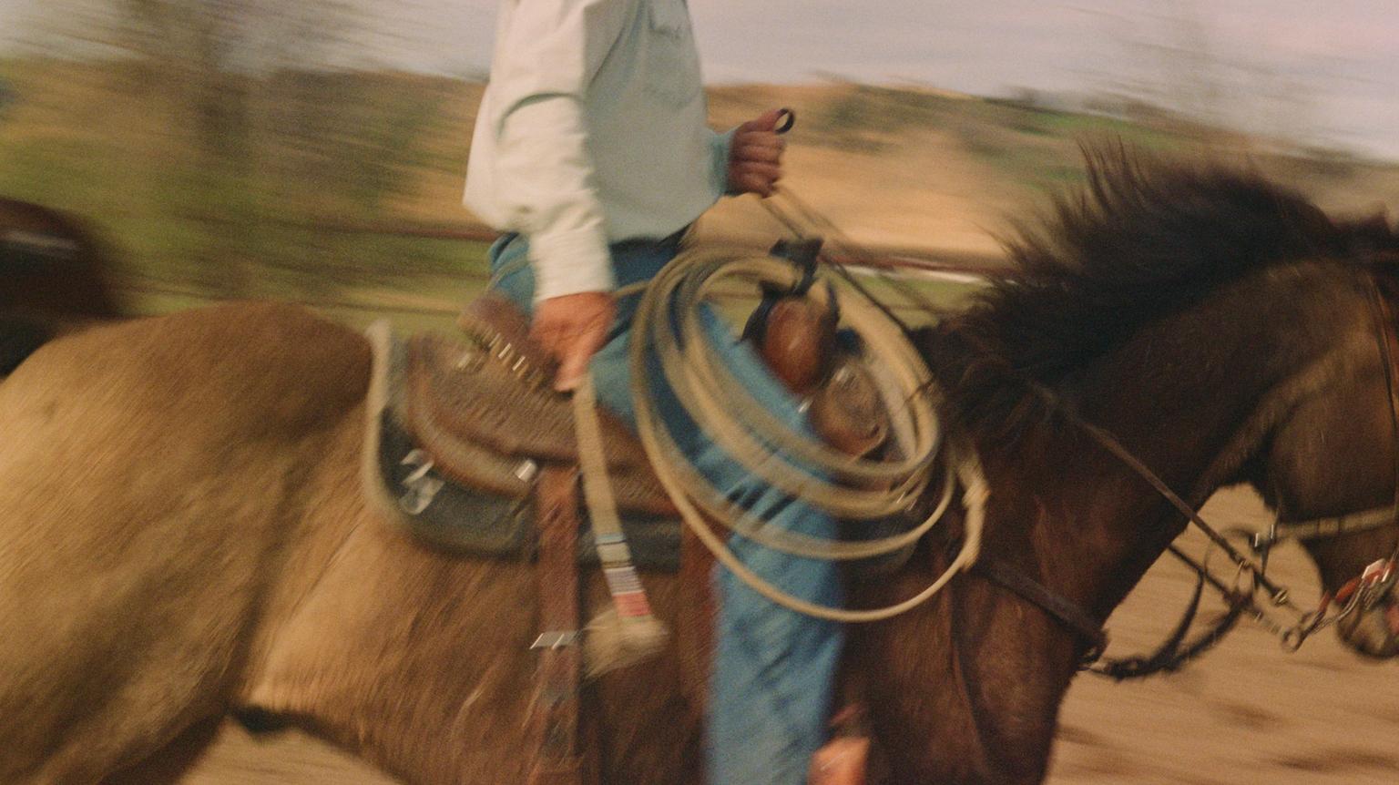 A person in a long-sleeve shirt and jeans rides a brown horse, holding the reins and a lasso, with motion blur in the background.