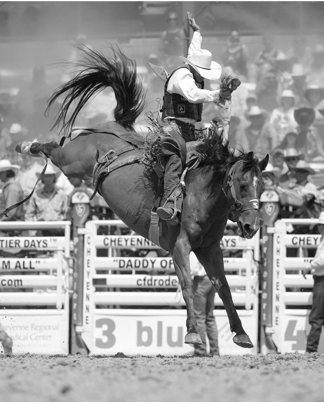A rodeo rider holds on to a bucking horse mid-air during a competition, with spectators and arena signs visible in the background.