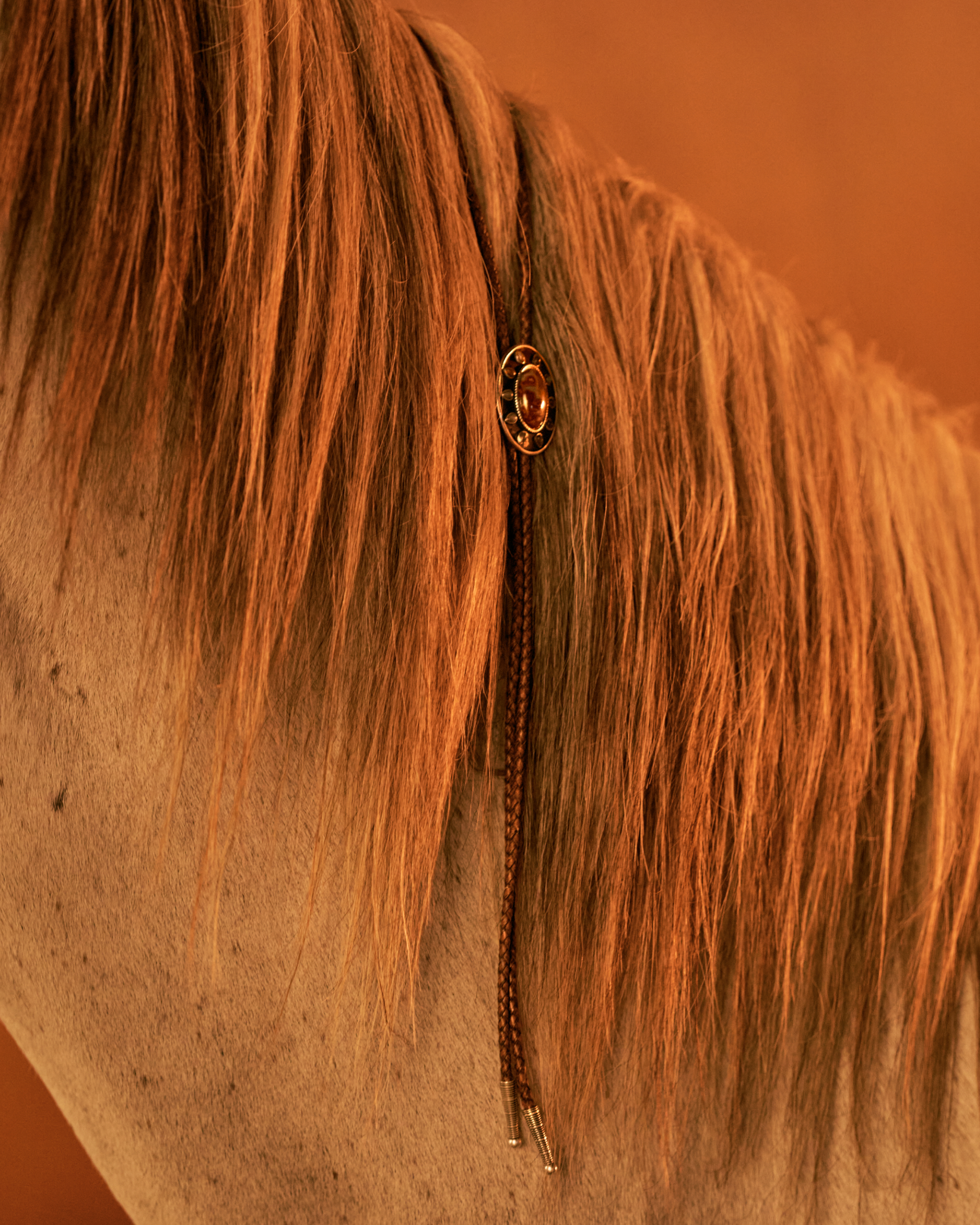 View of Birthday X Iron Lamb Bolo - Multi