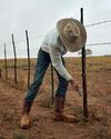 Person wearing a cowboy hat and boots, repairing a fence in a rural setting.