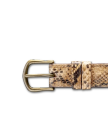 Front view of Women's Python Belt - Natural on plain background