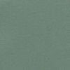 The product color Cactus