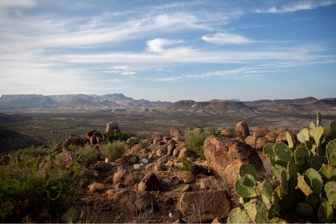 west texas landscape with agave plants