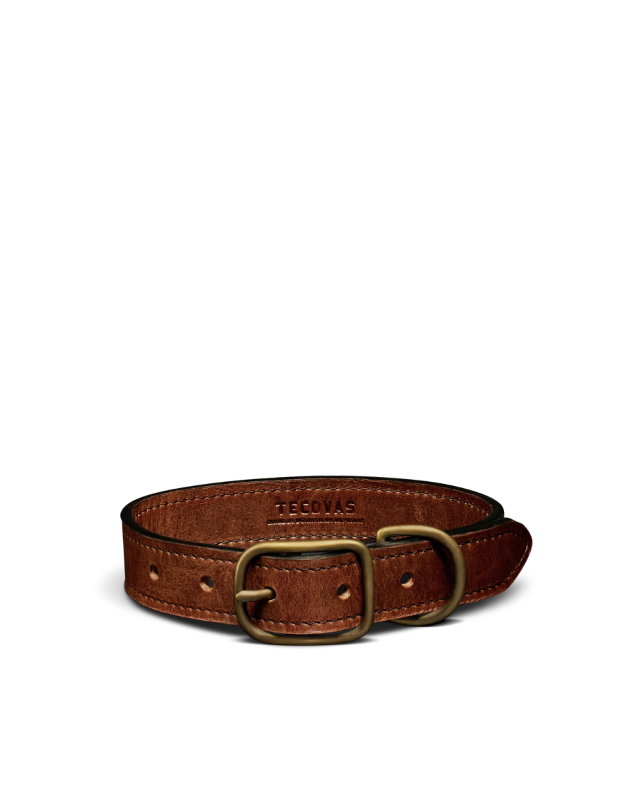 Closeup detail view of Leather Dog Collar - Cognac