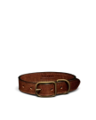 Closeup detail view of Leather Dog Collar - Cognac