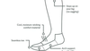 Diagram of various features of wool socks