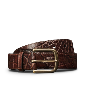 A brown leather belt with a crocodile pattern and a brass buckle, coiled against a plain white background.
