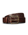 A brown leather belt with a crocodile pattern and a brass buckle, coiled against a plain white background.