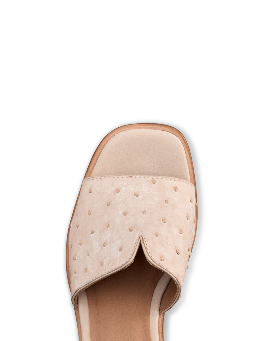 The Carmen Paloma in Pearl Ostrich. A close-up view of the front of a beige Pearl Ostrich sandal with a textured, dotted upper and a square toe design against a white background.