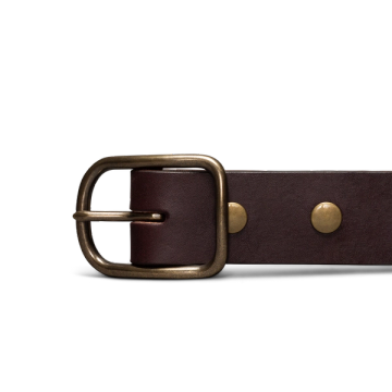 Front view of Harness Leather Belt - Umber on plain background