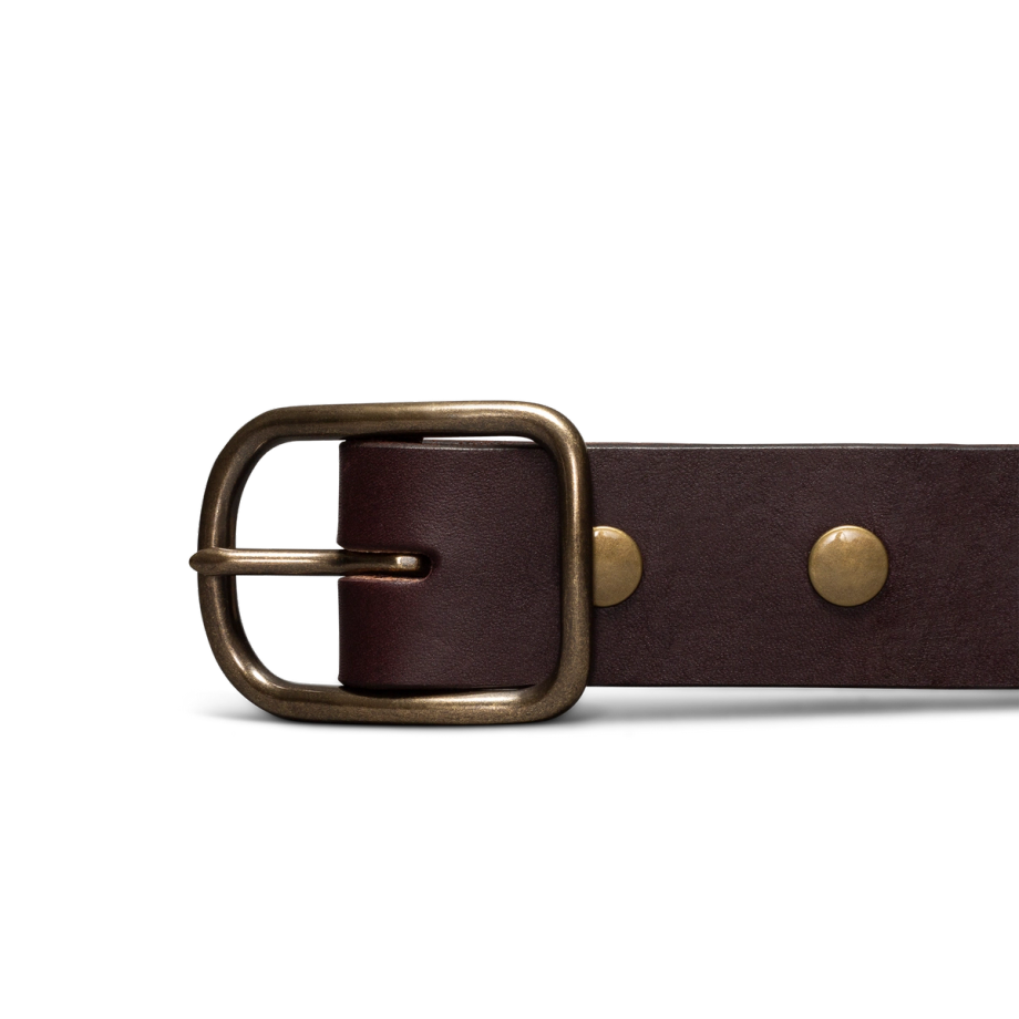 Front view of Harness Leather Belt - Umber on plain background
