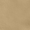 The product color Coriander