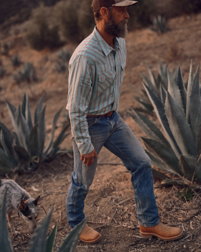 A man in a striped shirt and jeans walks beside agave plants outdoors, accompanied by a dog.