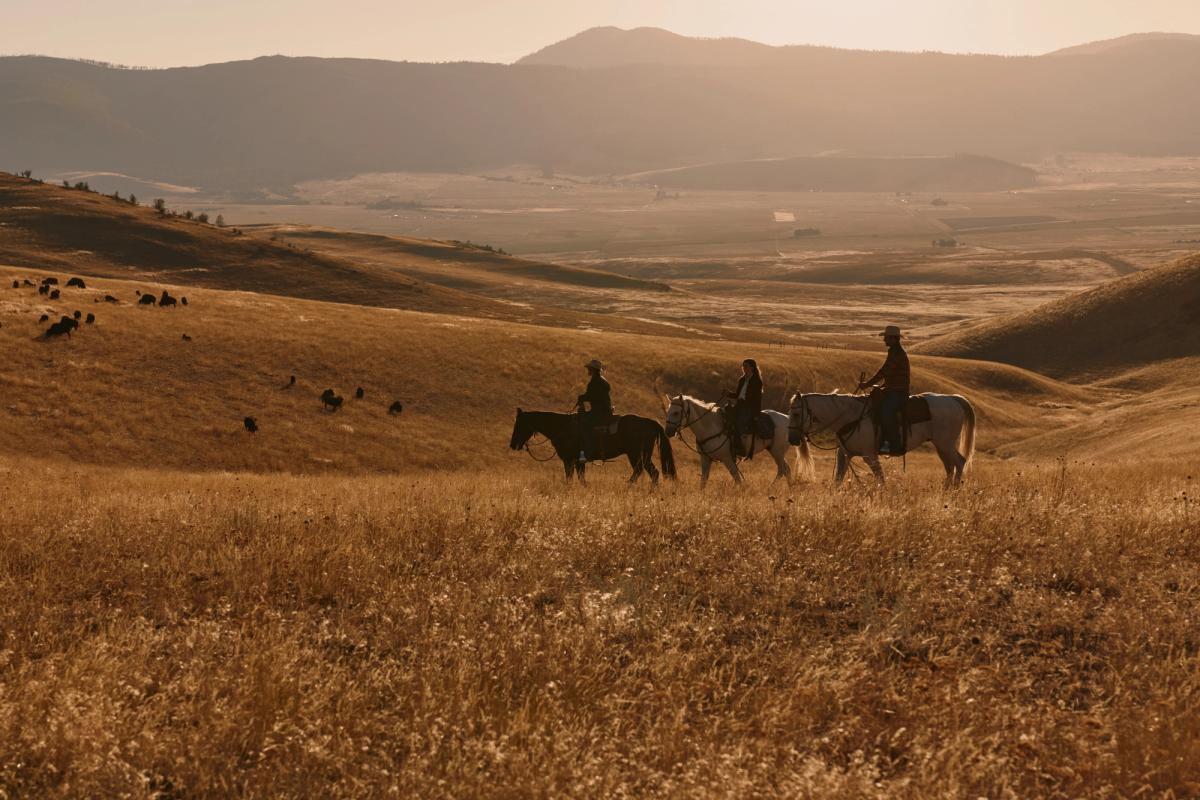 Top 50 Cowboy Quotes | Tecovas, image size:1200x800