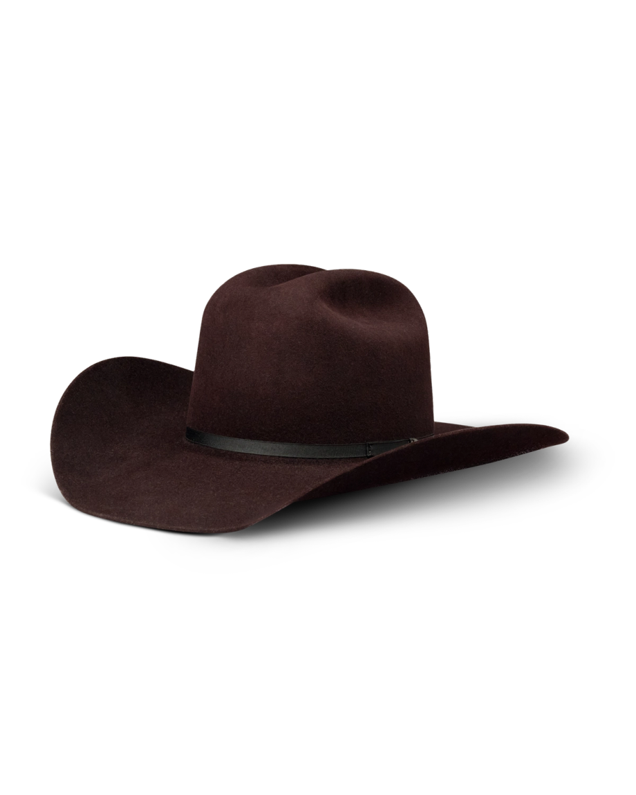 Dark brown cowboy hat with a thin black hatband.