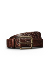 A brown leather belt with a crocodile pattern and a brass buckle, coiled against a plain white background.