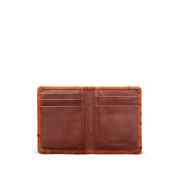 Tecovas lizard store bifold wallet