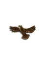 Front view of Hawk Hat Pin - Antique Brass on plain background