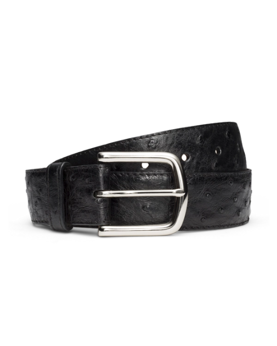 Front view of Men's Ostrich Belt II - Midnight on plain background
