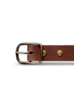 Close-up of a brown leather belt with a silver buckle and brass rivets against a black background.