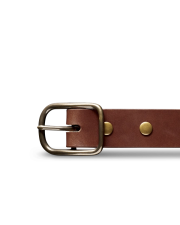 Close-up of a brown leather belt with a silver buckle and brass rivets against a black background.