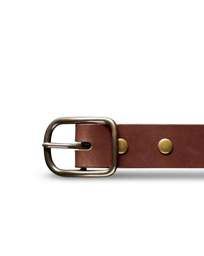 Close-up of a brown leather belt with a silver buckle and brass rivets against a black background.