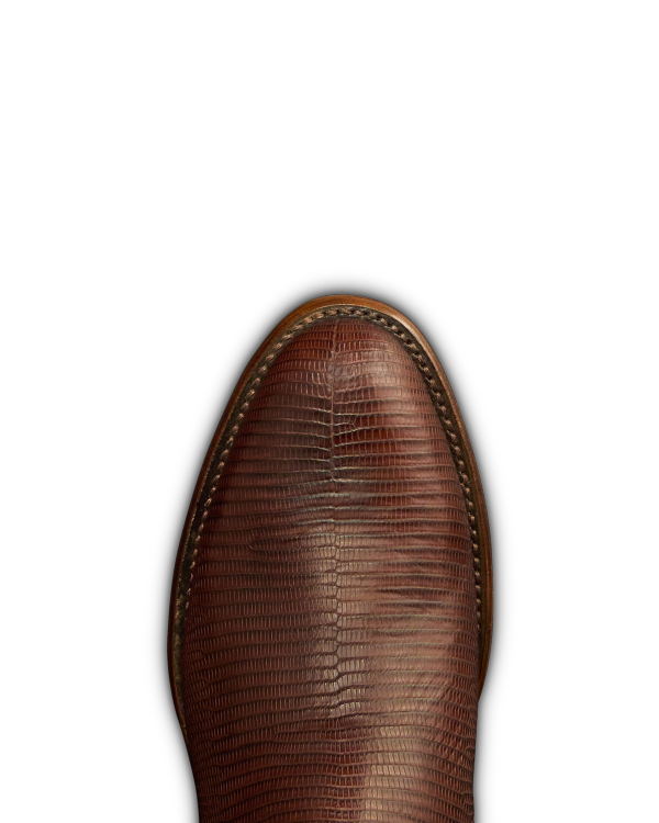 Toe view of The Earl - Hickory Lizard on plain background