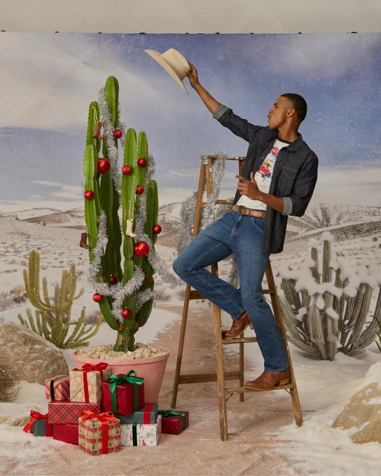 A cowboy on a ladder standing next to a cactus.