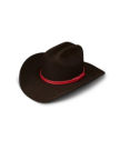 A dark brown cowboy hat with a wide brim and a red hatband, displayed on a white background.