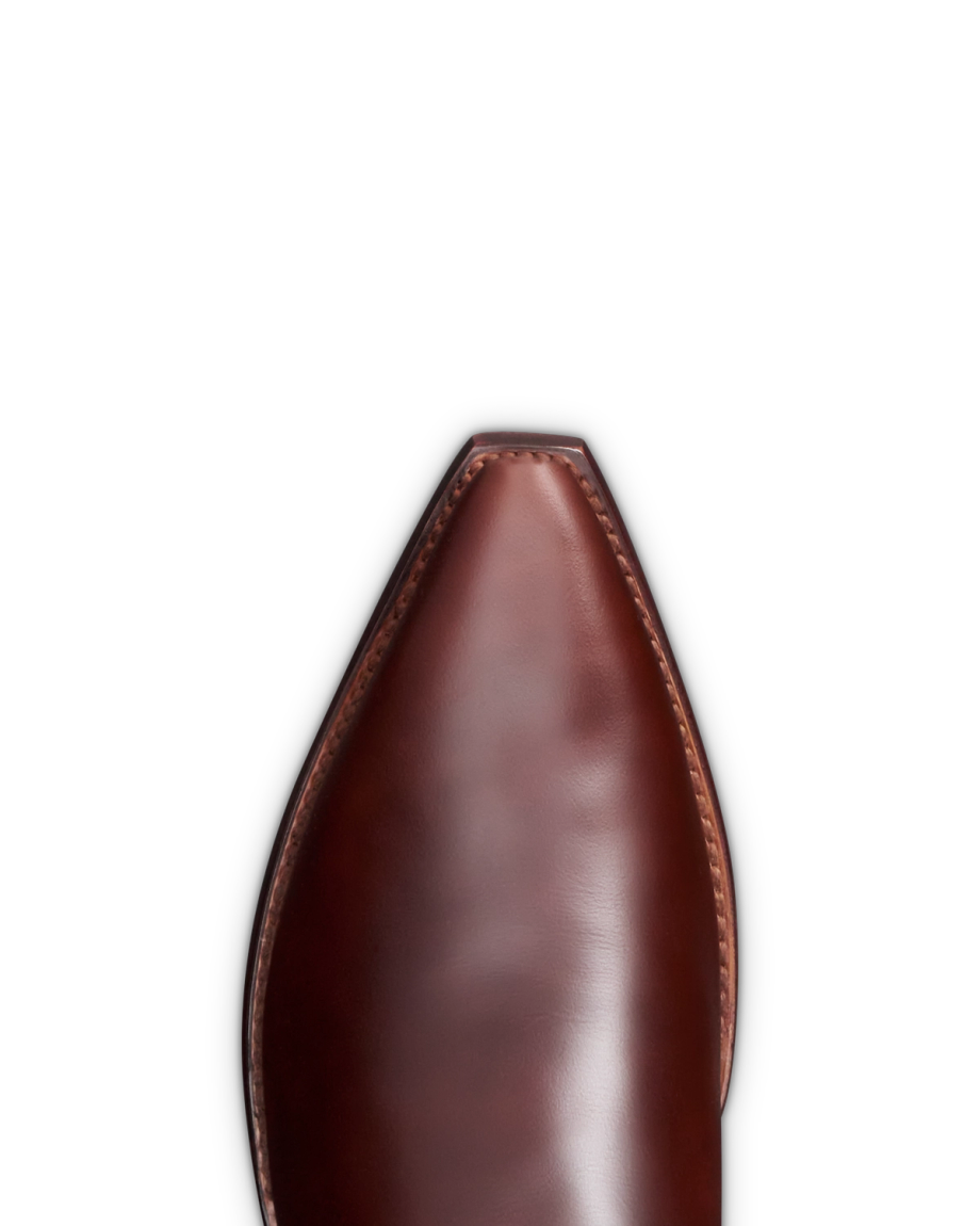 Close-up of a brown leather shoe with a pointed toe, set against a black background.