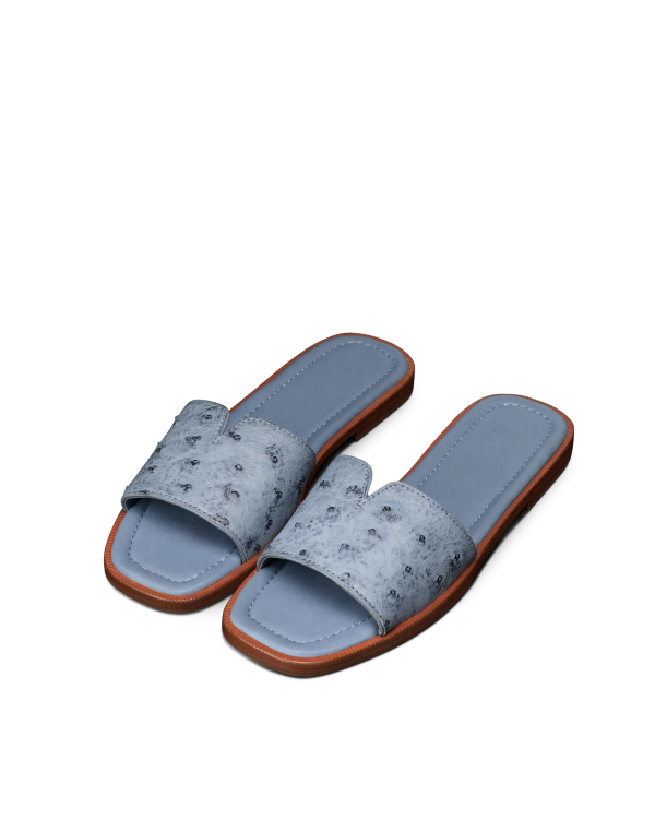 Pair view of The Carmen - Chambray on plain background