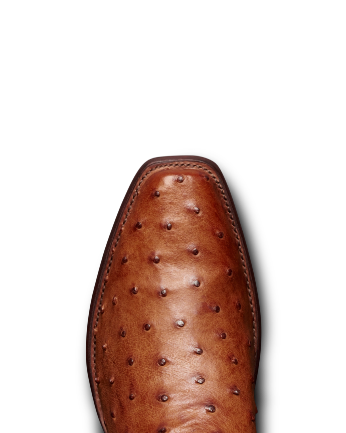 Toe view of The Warren - Pecan / Bone on plain background