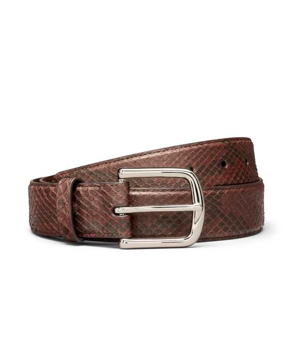 Front view of Men's Python Belt - Tobacco on plain background