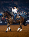 A person riding a brown horse in a rodeo arena, wearing a cowboy hat and celebrating with a fist in the air. The background shows an audience in the stands.