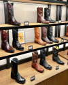 Interior of a boot store with shelves of various styles of cowboy boots, highlighting different patterns and colors, in a well-lit wooden display.