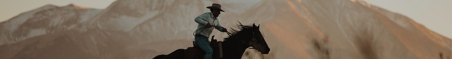 A person wearing a cowboy hat rides a horse at full speed across a field with tall dry grass, with mountains in the background.