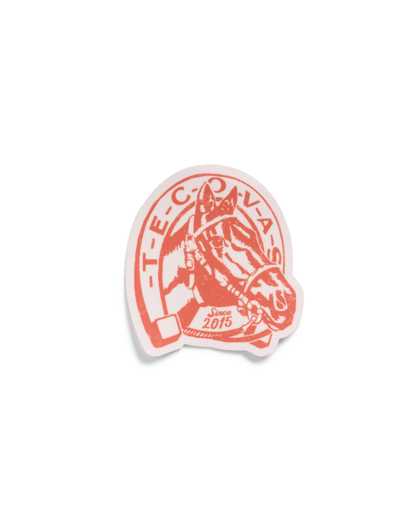 Front view of Horseshoe and Horse Sticker - Multi on plain background